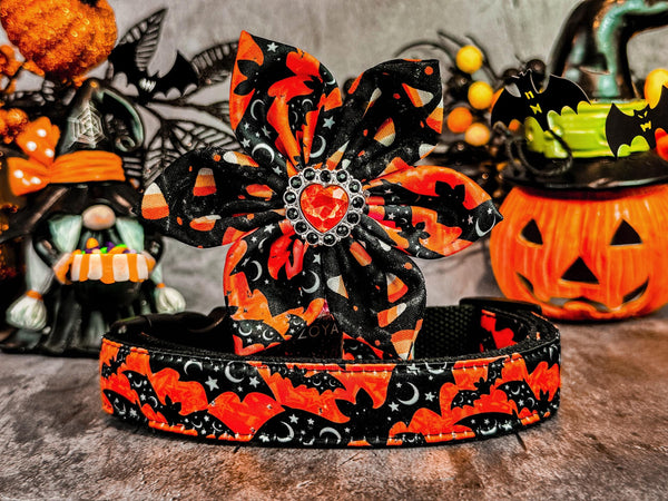 Halloween dog collar with flower - Bats and Stars