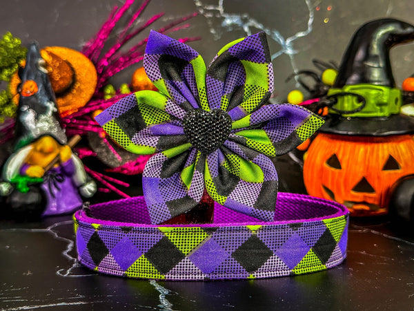 Halloween dog collar with flower - Purple Green Plaid