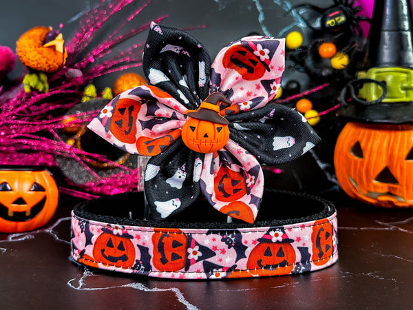 Halloween dog collar with flower - Pink Pumpkin and bats