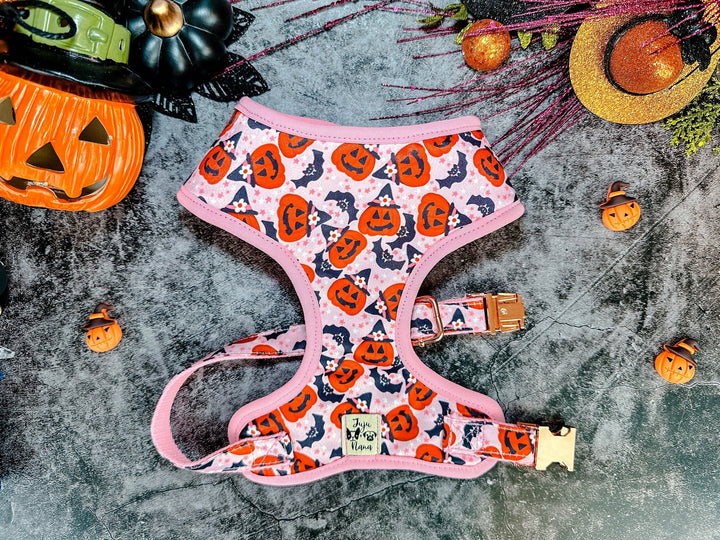 Halloween dog harness - Pumpkin and flowers - Pink trim