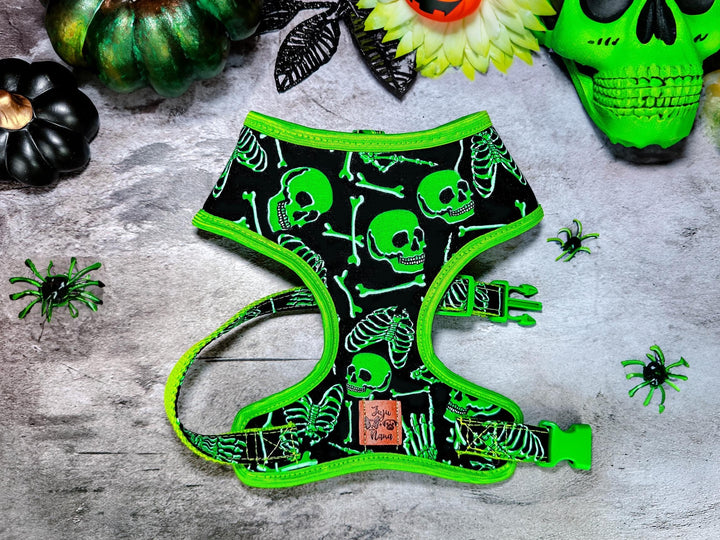 Halloween dog harness set - Glow in the dark Skulls