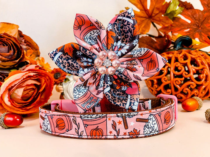 Dog collar with Flower - coffee and pumpkin spice