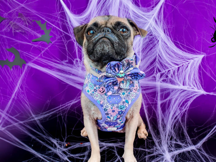 Halloween dog harness set - Pastel Spooky