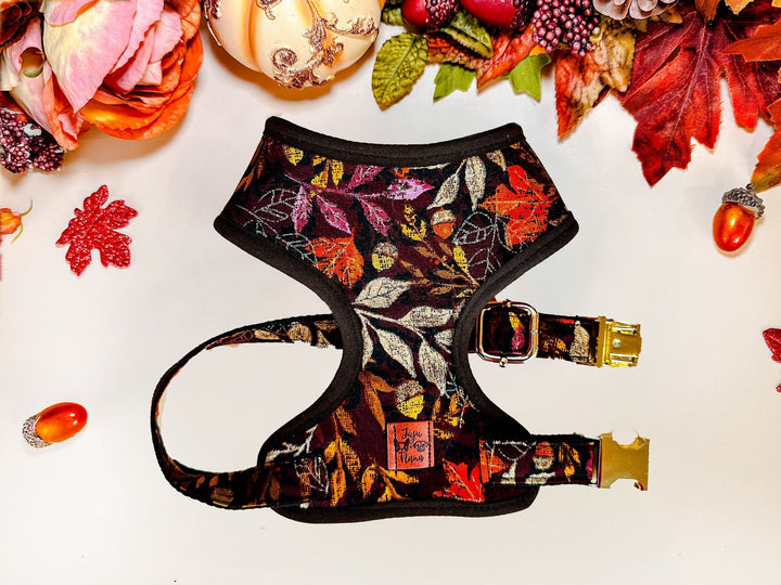 Fall floral dog harness vest/ girl autumn dog harness