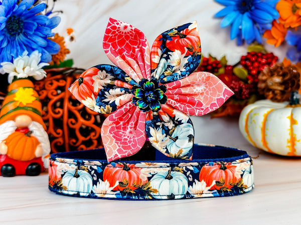 Dog collar with flower - Autumn Pumpkin and flowers