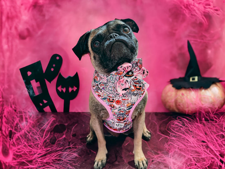 Halloween Dog harness - Pink retro Ghost party