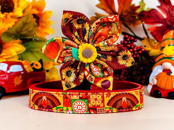 Dog collar with flower - Thanksgiving patchwork