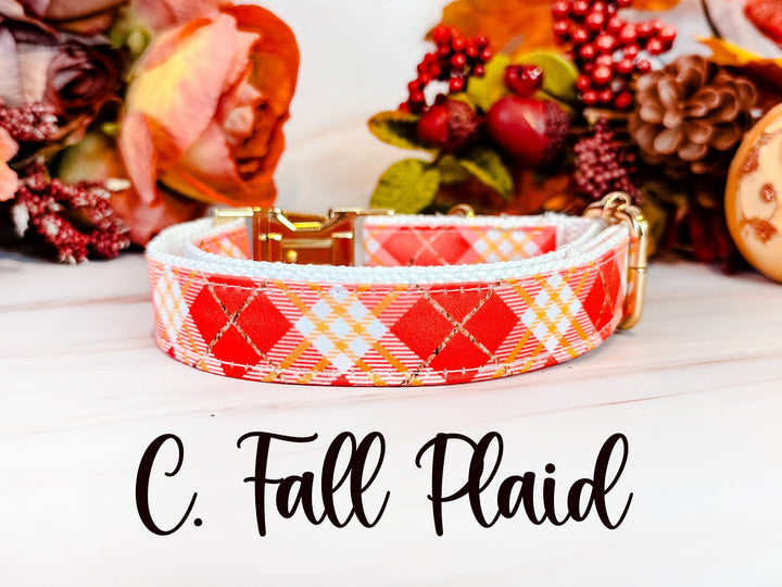 Harvest dog collar - Thanksgiving, Autumn, leaves, acorns, pumpkins, turkeys....