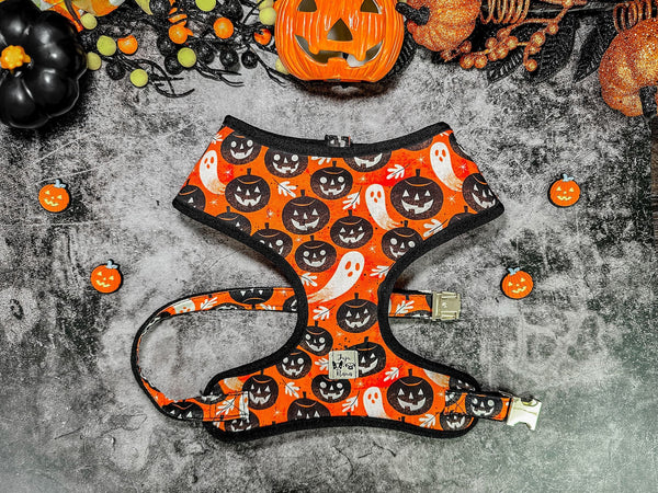 Halloween Dog harness - Orange Pumpkin Party