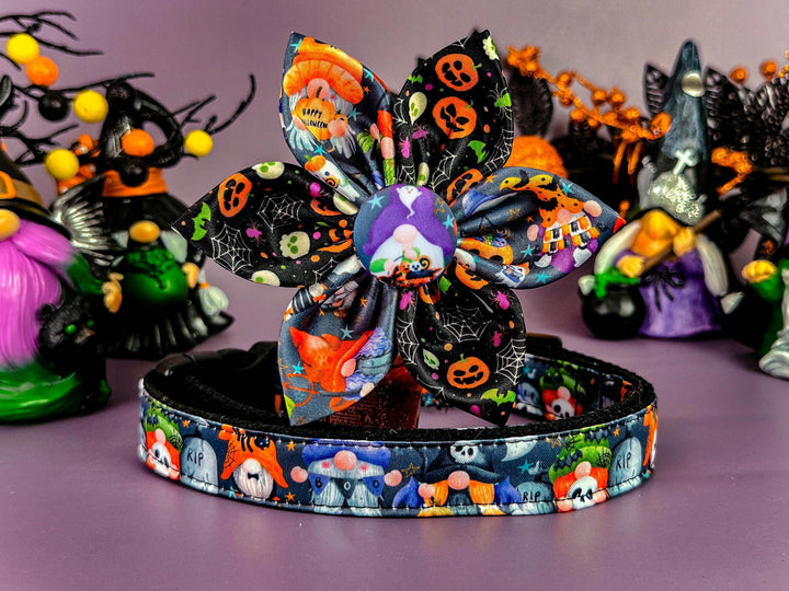 Halloween dog collar with flower - Gnomes