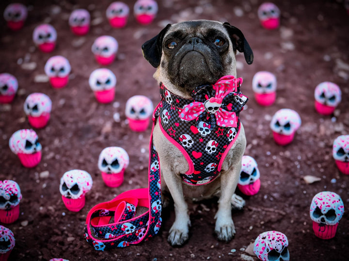 Halloween dog harness - Plaid and Sugar Skull