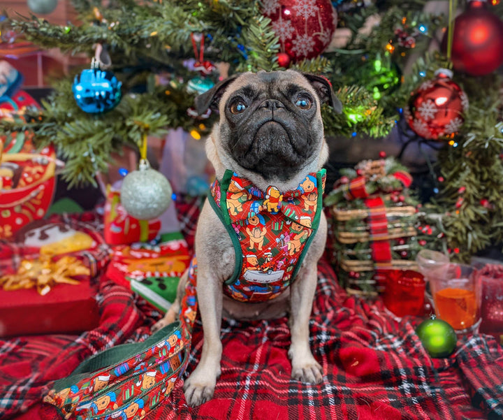 Christmas dog harness - Bears and plaid