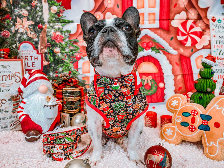 Christmas dog harness - Gingerbread Party - Red Trim