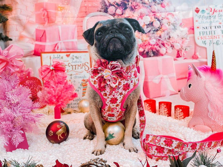 Christmas dog harness - Pink Unicorn and poinsettia