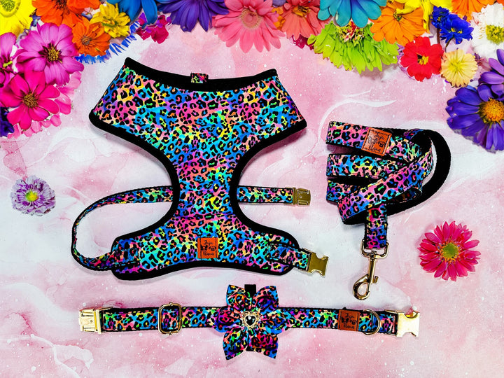 Dog harness set Rainbow Leopard – Juju Nana