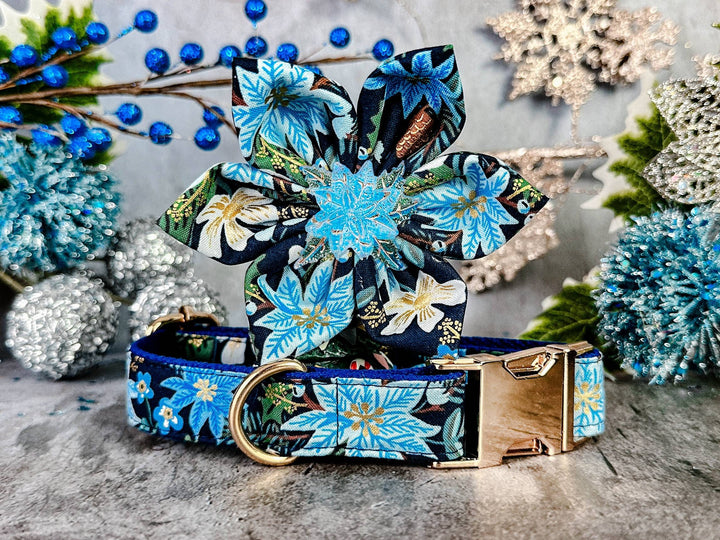 Blue Christmas poinsettias dog collar Flower/ rifle paper co dog collar