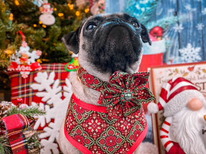 Dog collar with flower - Christmas Medallions