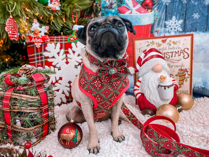 Christmas dog harness - medallion