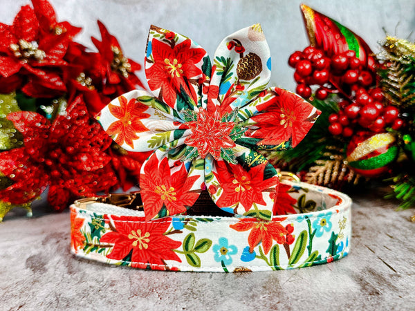 White Christmas poinsettias dog collar Flower/ rifle paper co floral collar