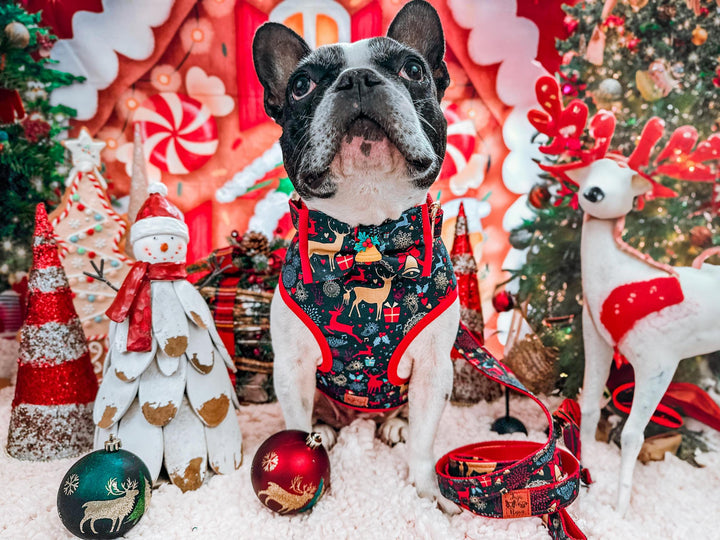 Christmas dog harness - reindeer - Red trim