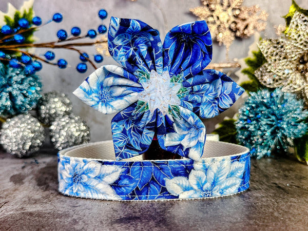Blue Christmas poinsettia dog collar Flower/ white Christmas glitter floral dog collar