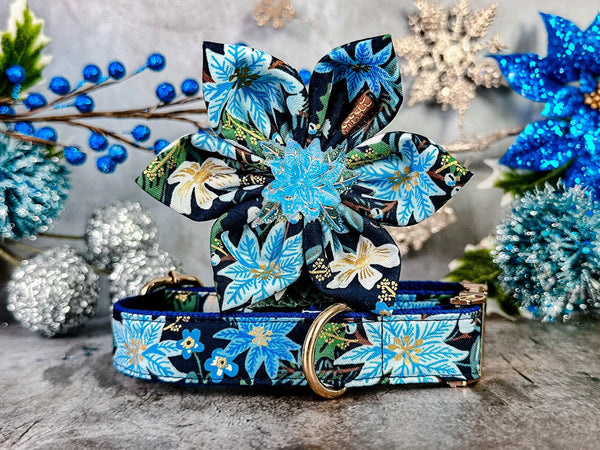 Blue Christmas poinsettias dog collar Flower/ rifle paper co dog collar/ holiday classics collar/ floral cotton steel winter dog collar