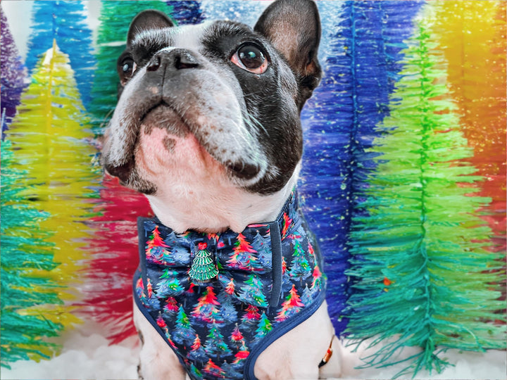 Rainbow Christmas tree dog collar bow tie/ forest boy dog collar