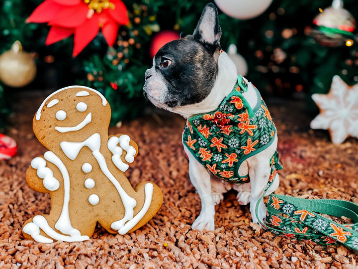 Christmas dog harness set - gingerbread and snowflake
