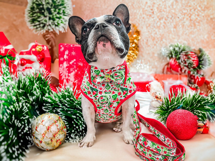 Christmas Grinch harness leash set/ girl boy dog harness vest/ cute custom dog harness leash/ holiday fabric harness lead/