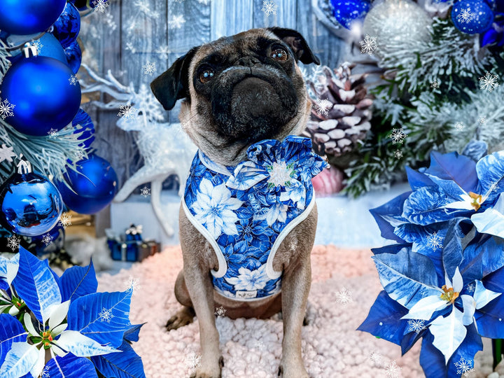 Blue Christmas Poinsettia dog harness vest/ girl floral dog harness