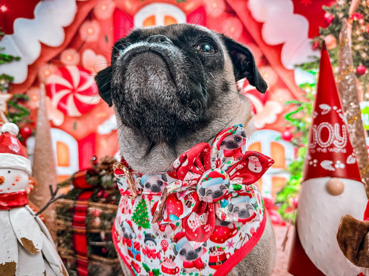 Christmas Pug dog collar flower/ girl dog puppy collar