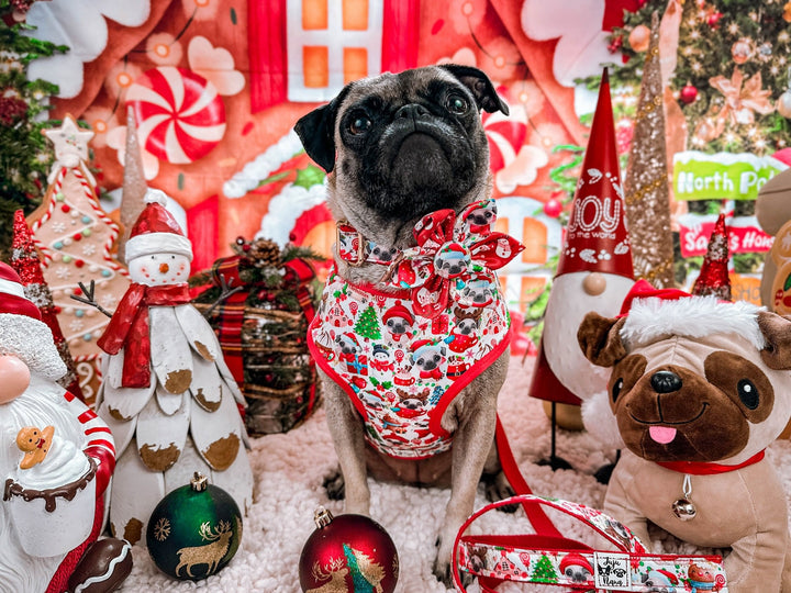 Christmas dog harness - Pugs