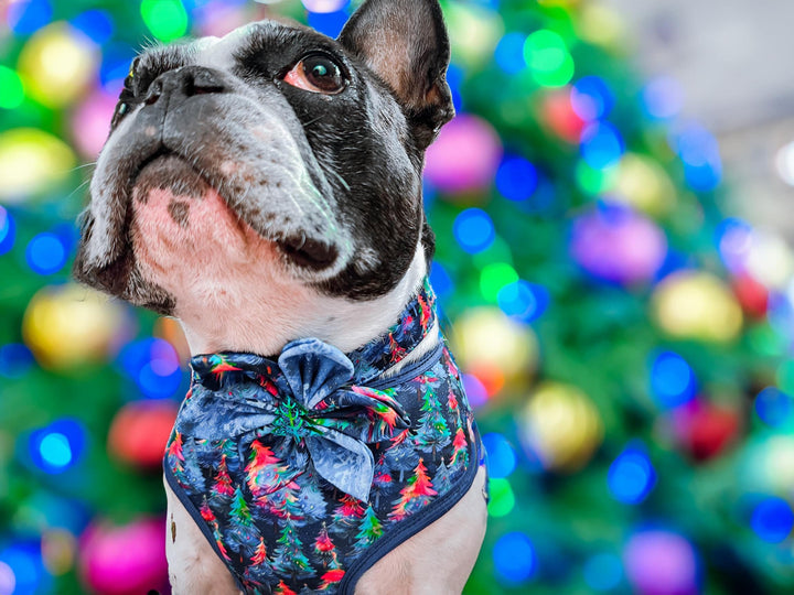 Rainbow Christmas tree dog collar flower/ forest girl dog collar