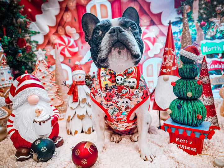 Christmas dog collar with bow tie- Christmas Nightmare