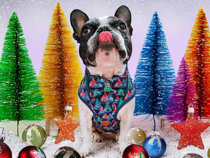Christmas tree dog harness vest/ rainbow preppy christmas dog harness