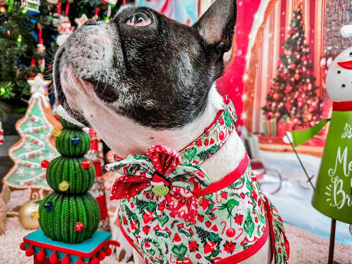 Grinchmas dog collar with flower/ hate Christmas dog collar