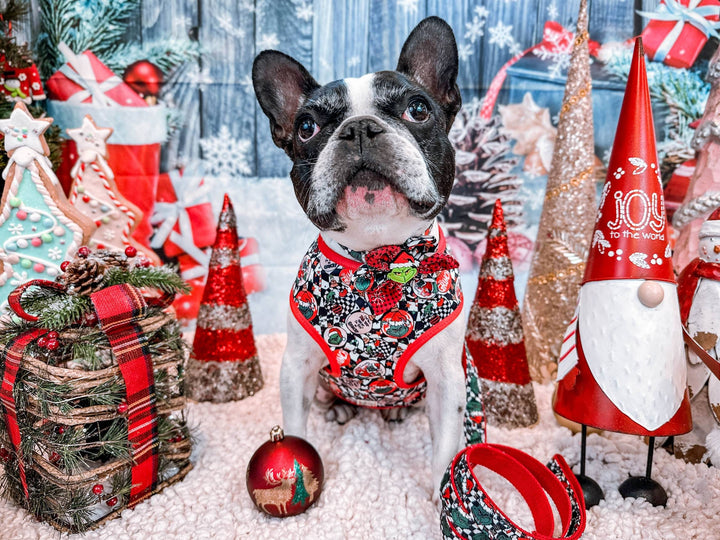 Christmas Grinch and plaid harness leash set/ girl boy dog harness vest/ cute custom dog harness leash/ holiday fabric harness lead/
