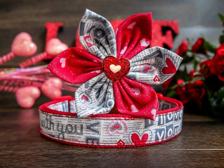 valentine dog collar with bow tie - Love words