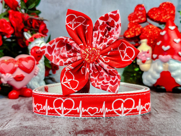 Valentine dog collar with Flower - Heartbeat in red