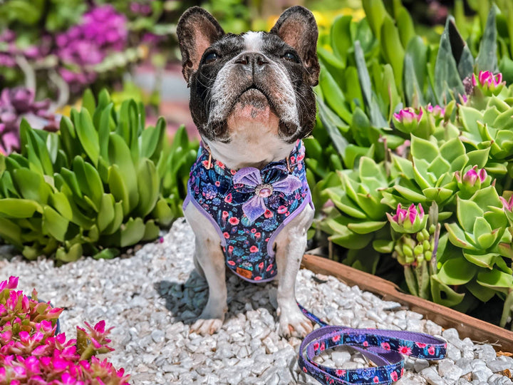 Dog harness - boho succulent and flowers - purple trim