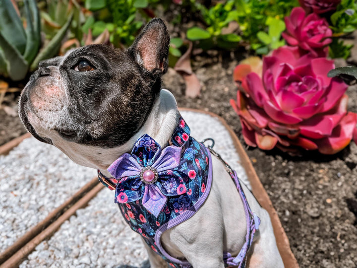 Cactus Succulent Dog Collar Flower/ purple floral dog collar/ girl boho dog collar/ Large small dog collar/ designer female puppy dog collar