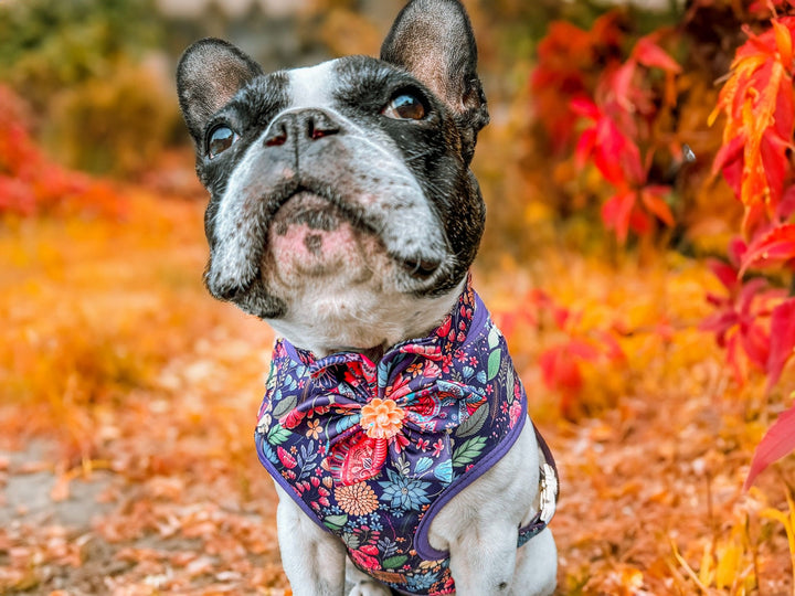 Dog collar with flower - Autumn wildflowers